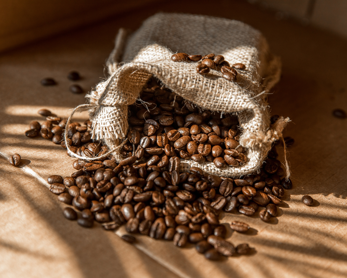 Close-up of roasted Eighth House Solar Mushroom Coffee beans