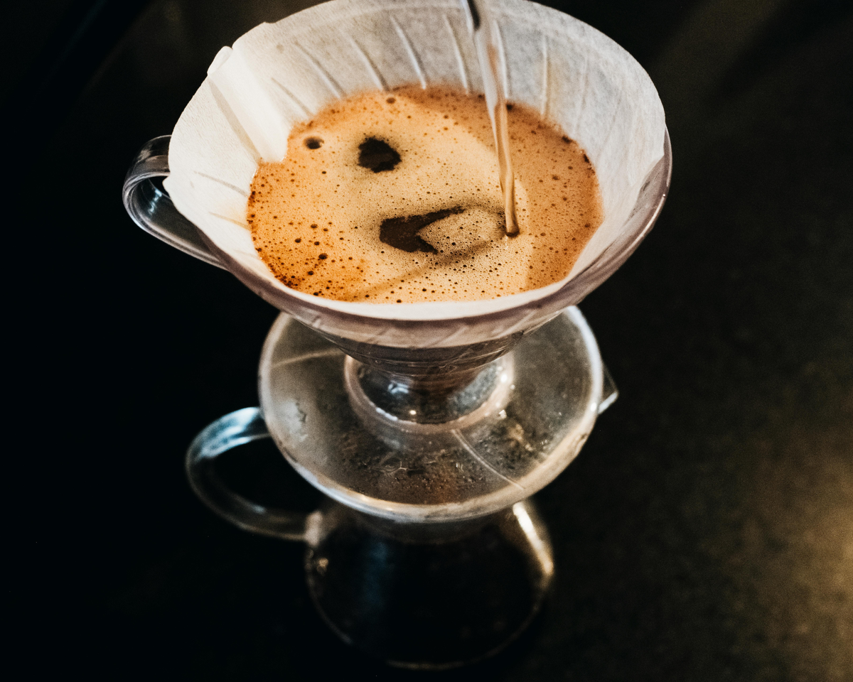 Lion's Mane and Chaga mushrooms, the two functional ingredients in Eighth House Solar Mushroom Coffee